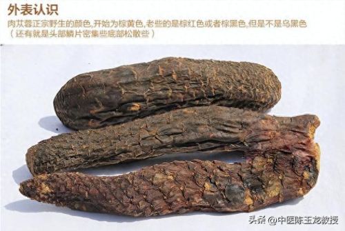 通便药十大排行榜(通便排名第一的药)插图8