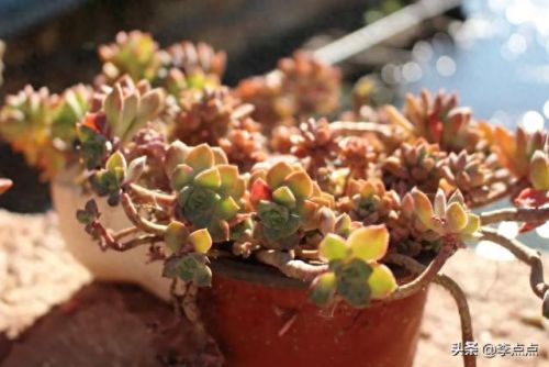 云南烧烤酒吧排名前十(云南最牛酒吧)插图44 云南烧烤酒吧排名前十(云南最牛酒吧)插图44