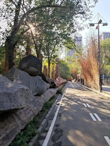 十大新疆网红城市排行榜(中国十大网红城市排行)插图14 十大新疆网红城市排行榜(中国十大网红城市排行)插图14