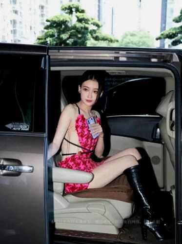 十大明星撞衫排行榜(中国十大明星撞衫)插图2