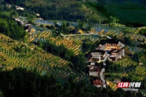 沅江订婚酒店排名前十(呼市订婚酒店排名)插图18