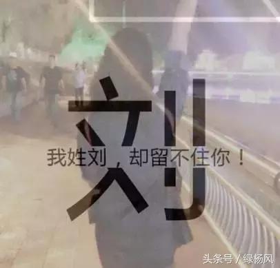 扬州十大家族排行榜图(江苏十大家族排名)插图5 扬州十大家族排行榜图(江苏十大家族排名)插图5