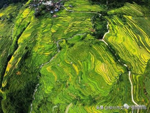 柳州十大摄影师排行榜图片(柳州全家福摄影前十名)插图6