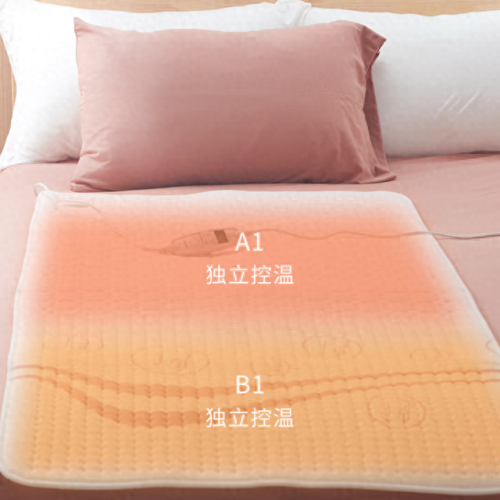 进口电热毯十大品牌排行榜(电热毯十大品牌排名次)插图1 进口电热毯十大品牌排行榜(电热毯十大品牌排名次)插图1