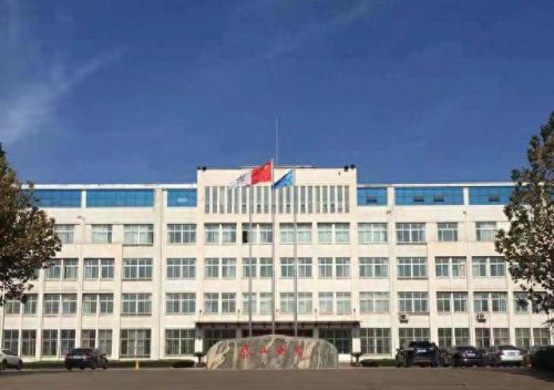 邹城平台公司排名前十(邹城家政公司排名)插图17 邹城平台公司排名前十(邹城家政公司排名)插图17