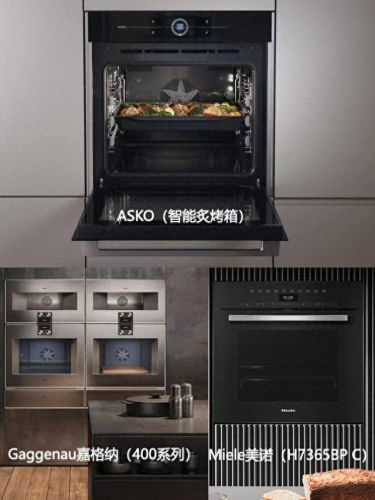 国际十大厨电品牌排行榜(公认的十大厨电品牌)插图6