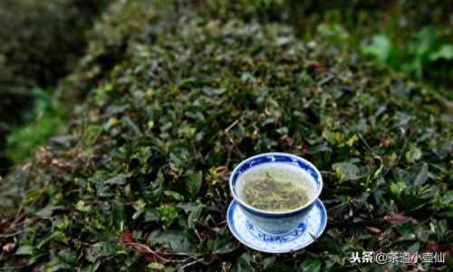 贵州省十大名茶排行榜(贵州十大特产)插图6