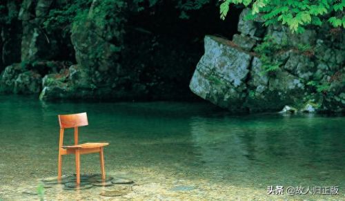 日本进口皮椅十大品牌排行榜(进口真皮按摩椅最好的牌子)插图8