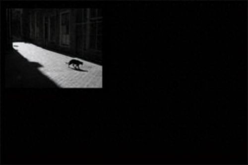 世界十大恐怖惊悚曲排行榜(恐怖bgm十大排名)插图2