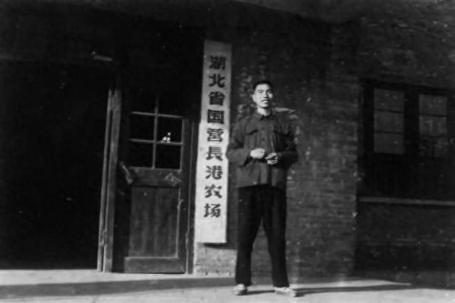 大冶国营饭店排名前十(大冶最好饭店排行榜)