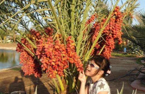 十大不值钱水果排行榜(最补钙的十大水果排名)插图3 十大不值钱水果排行榜(最补钙的十大水果排名)插图3