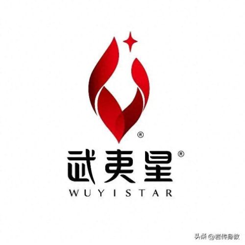 高端岩茶品牌十大排行榜(十大顶级普洱生茶)插图2