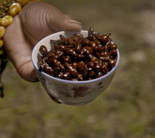 甘孜十大小吃店排行榜(甘孜锅庄完整版)插图5