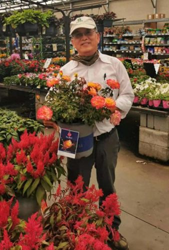 国外花盆公司排名前十(花盆品牌十大排名)插图3