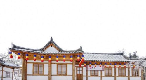 十大平壤面食排行榜第一(平壤玉流馆冷面)插图4