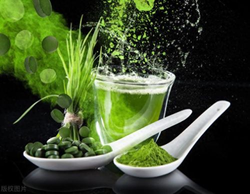 益生菌食物的十大排行榜(益生菌粉的十大排行榜)插图2