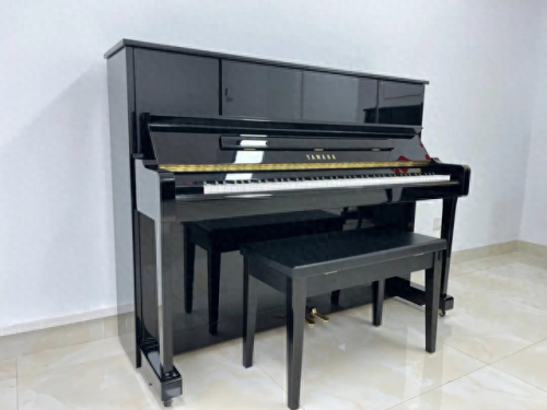 专业电钢琴十大排行榜(十大超好听的钢琴)插图 专业电钢琴十大排行榜(十大超好听的钢琴)插图