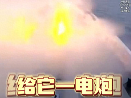 动物排行榜之十大动物医生(动物排名十大凶猛动物)