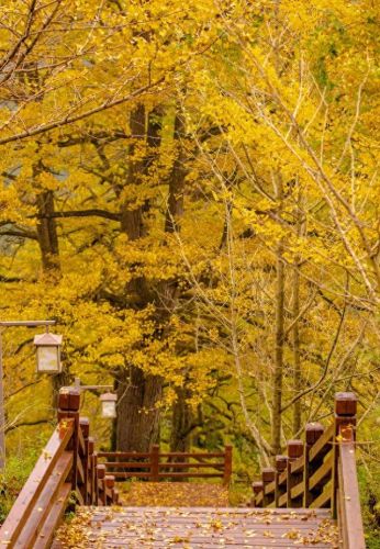 空调贵州销量排名前十(2022空调销量排行榜)插图34