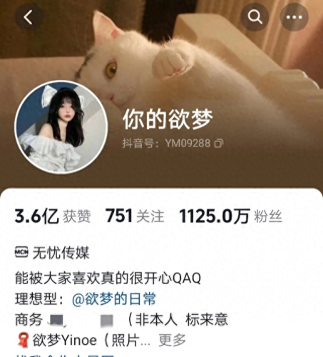 女主播月收入排名前十(唱歌主播一般收入多少)插图13