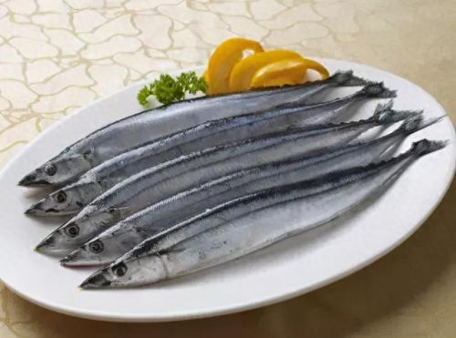 十大土豪鱼排行榜视频播放(雷龙鱼十大禁忌)插图8