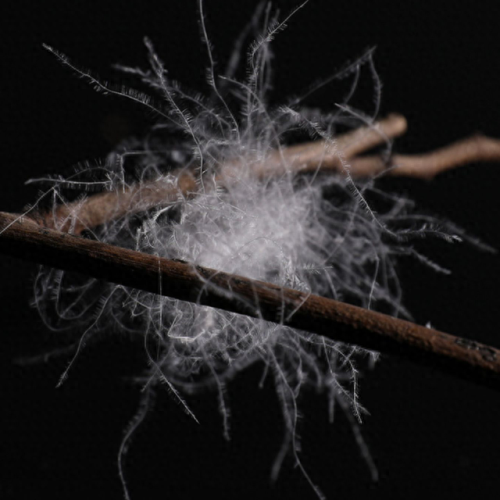 羽绒被子十大名牌排行榜(羽绒被推荐 品牌)插图2