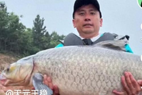 钓鱼排行榜十大狠人鱼王(湛江十大钓鱼圣地)插图3