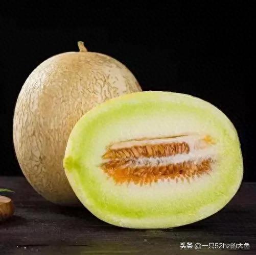 甜瓜品种十大排行榜图片(500个瓜图片)插图4