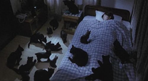 直面冲击鬼片十大排行榜(十大鬼片背景音乐歌曲)插图2