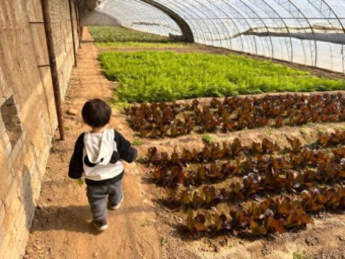 顺义景区美食排名前十(顺义杨镇美食排行榜)插图12 顺义景区美食排名前十(顺义杨镇美食排行榜)插图12