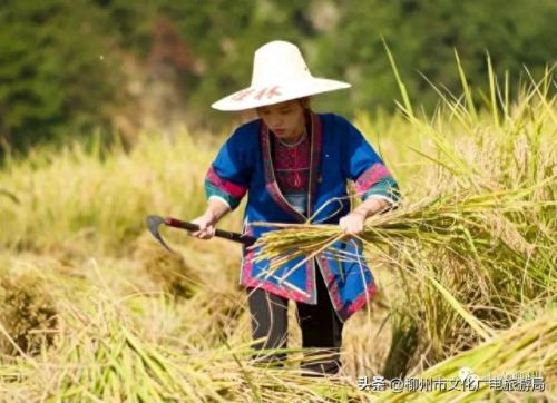 柳州十大摄影师排行榜图片(柳州全家福摄影前十名)插图22