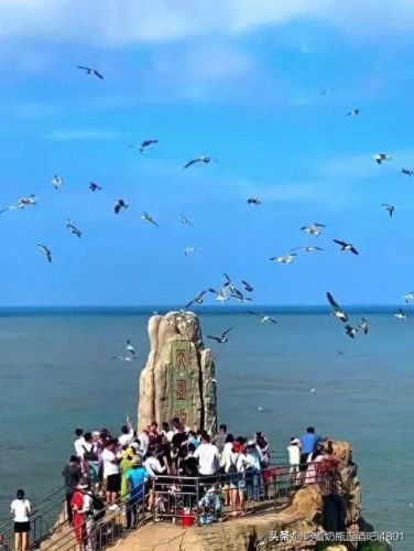 滨海最美地方排名前十(滨海最好小区排名)插图34 滨海最美地方排名前十(滨海最好小区排名)插图34