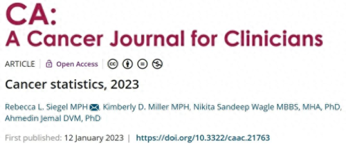 十大疾病死亡率排行榜(肿瘤疾病死亡率排名)插图 十大疾病死亡率排行榜(肿瘤疾病死亡率排名)插图