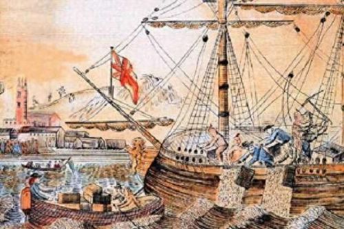 斯里兰卡咖啡产量排名前十(咖啡三大原生种产量最大的是)插图2