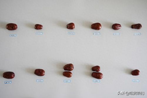 和田大枣品种排名前十(和田特级大枣)插图16 和田大枣品种排名前十(和田特级大枣)插图16