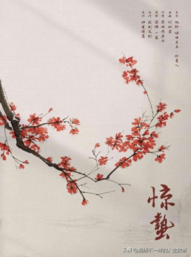 五人十大催泪剧本杀排行榜(七人剧本杀推荐排行榜)插图6 五人十大催泪剧本杀排行榜(七人剧本杀推荐排行榜)插图6