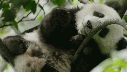 儿童十大纪录片电影排行榜(大凉山贫困儿童纪录片)插图16