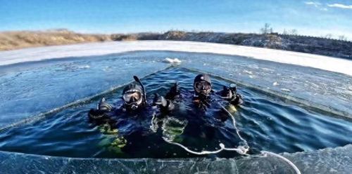 淡水潜水收入排名前十(爱潜水的乌贼一年收入)插图 淡水潜水收入排名前十(爱潜水的乌贼一年收入)插图