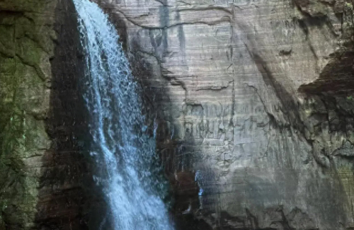 郑州水边餐厅排名前十(费县水边餐厅)插图4 郑州水边餐厅排名前十(费县水边餐厅)插图4