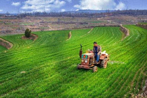 十大网红农药企业排行榜(中国十大假农药)插图 十大网红农药企业排行榜(中国十大假农药)插图