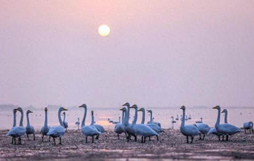 山东住宿基地排名前十(山东最大的宿舍区)插图25 山东住宿基地排名前十(山东最大的宿舍区)插图25