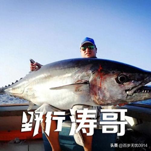 十大钓鱼博主排行榜主播(十大钓鱼人物排名)插图7 十大钓鱼博主排行榜主播(十大钓鱼人物排名)插图7