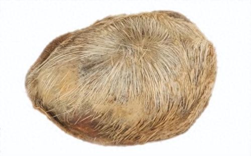 人参药材厂家排名前十(人参类药材价格)插图8 人参药材厂家排名前十(人参类药材价格)插图8