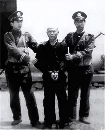 中国十大重大案件排行榜(中国十大悍匪纪实全集)插图8