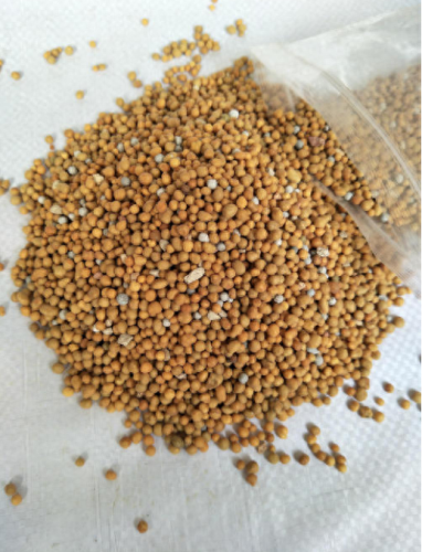 花卉控释肥十大排行榜(适合控释肥的花卉)插图1