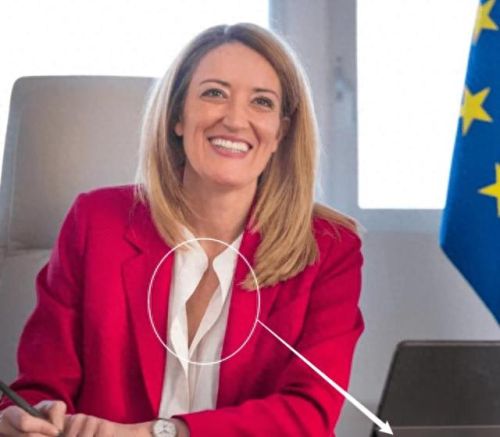 欧洲议会大臣排名前十(欧洲议会女议员完整版)插图12 欧洲议会大臣排名前十(欧洲议会女议员完整版)插图12