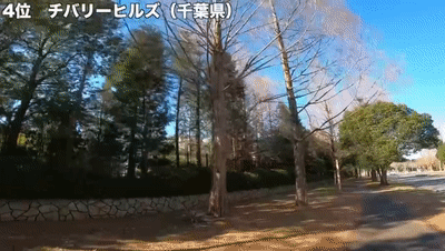 日本最美豪宅排名前十(日本十大高端豪宅)插图38