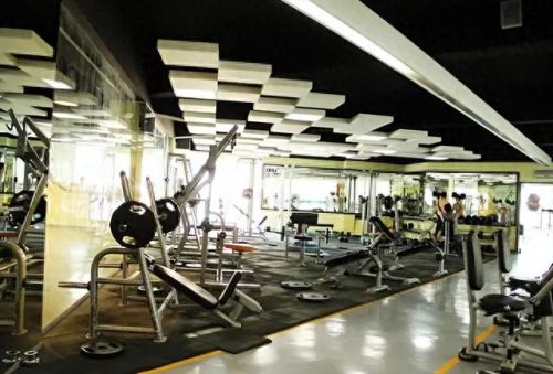 进口健身设备十大排行榜(健身器材国际排行榜)插图3 进口健身设备十大排行榜(健身器材国际排行榜)插图3