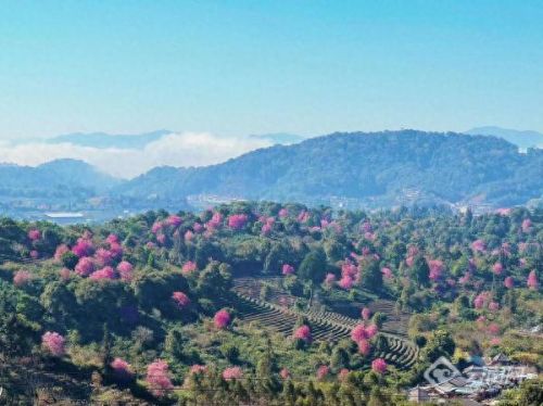 澜沧小众景点排名前十(澜沧东回景点)