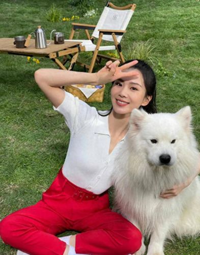 娱乐圈十大宠物排行榜最新(北京圈内人养宠物的明星)插图3